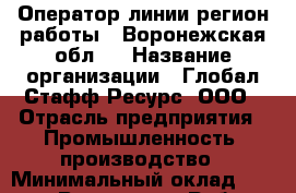 Оператор линии(регион работы - Воронежская обл.) › Название организации ­ Глобал Стафф Ресурс, ООО › Отрасль предприятия ­ Промышленность, производство › Минимальный оклад ­ 35 000 - Все города Работа » Вакансии   . Мурманская обл.,Видяево нп